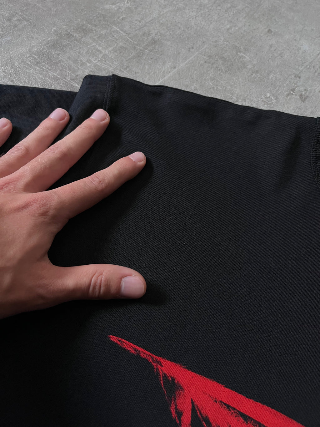 F/W 2023 Ann Demeulemeester Feather Campaign T-shirt Black Men - M