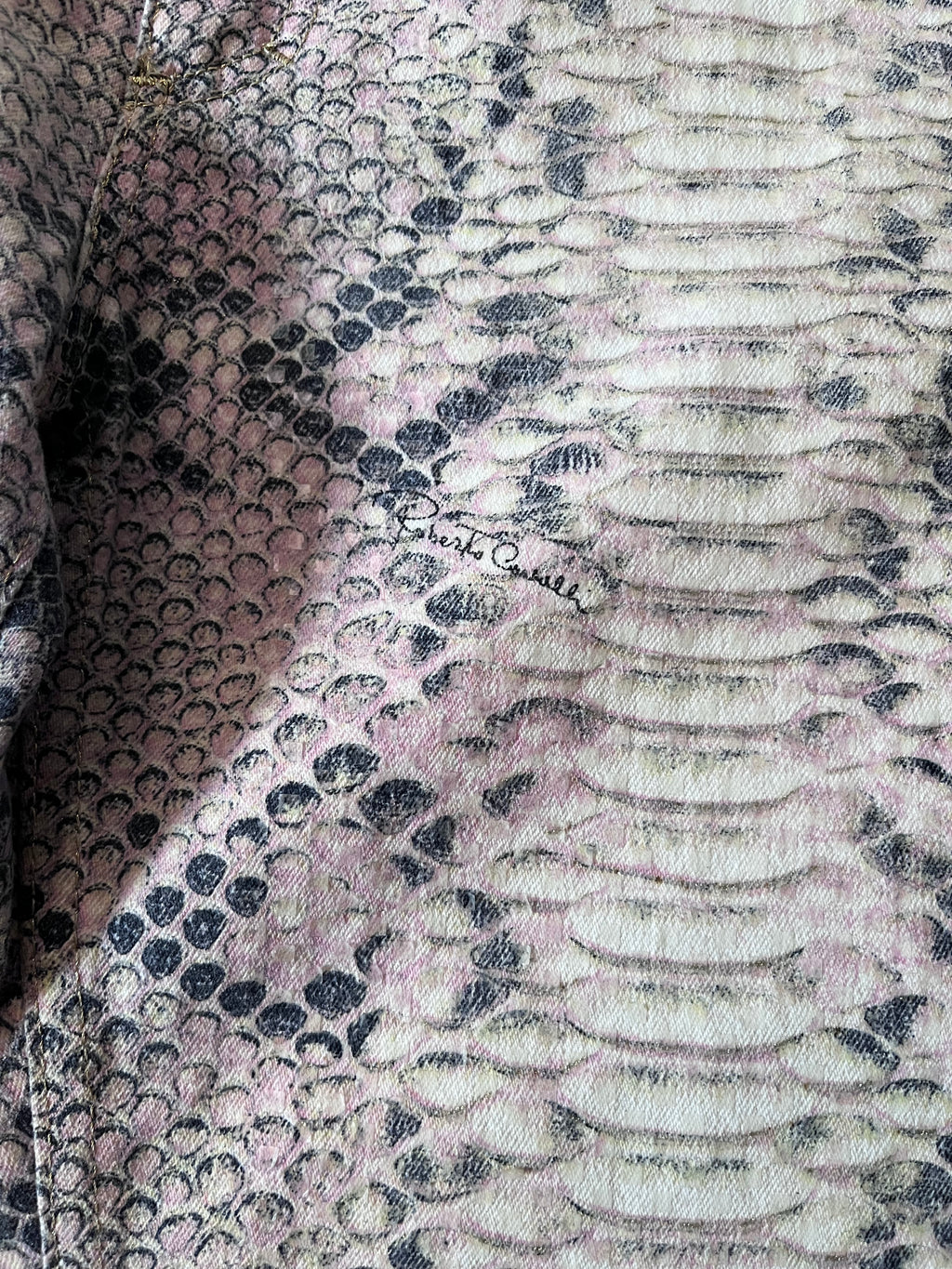 A/W 2002 Roberto Cavalli Python Effect Print Pants Beige Men - M
